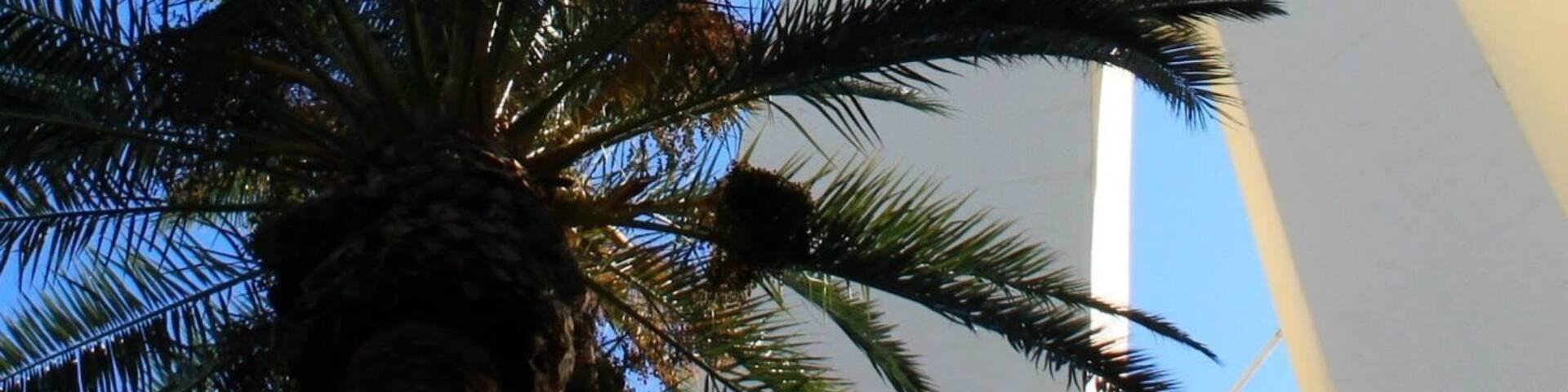 Stratosphare hotel & casino - went here for the view