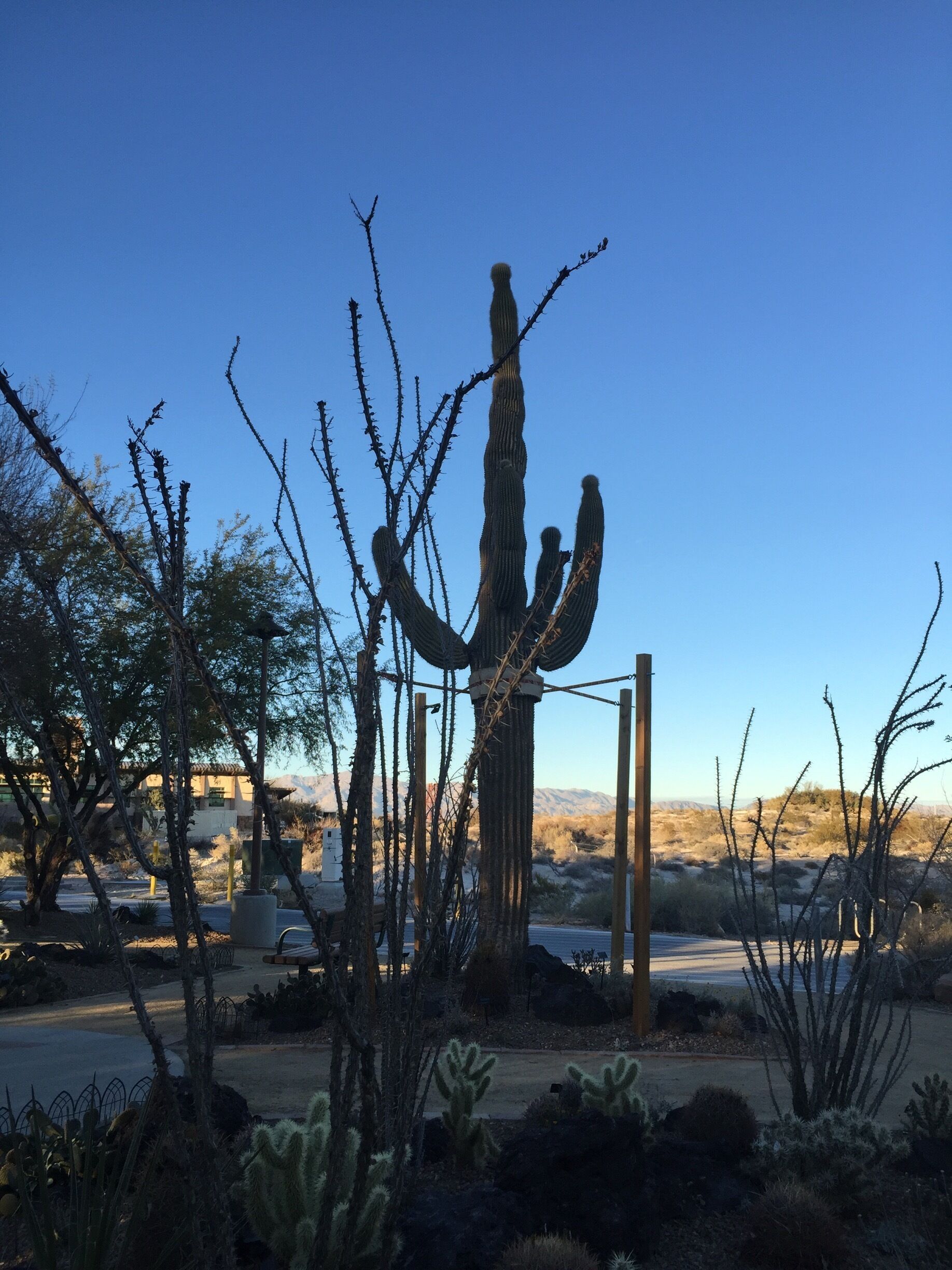 There are tags on everything informing of the tree's,plants, & how they interact with the climate 
#blue travels 