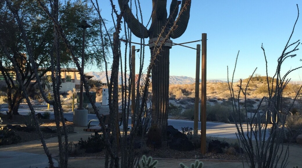 There are tags on everything informing of the tree's,plants, & how they interact with the climate
#blue travels