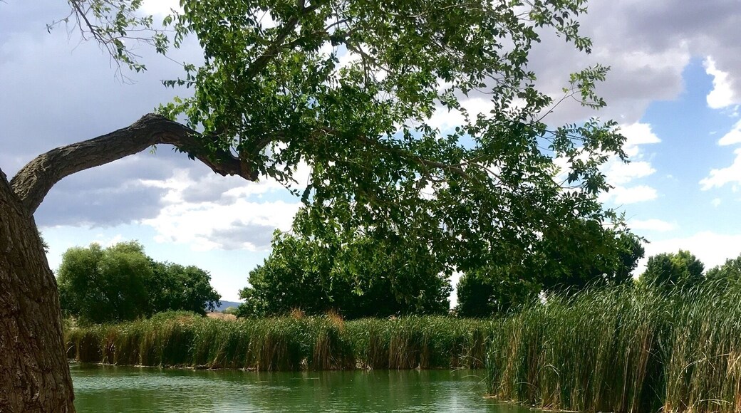 An oasis in the middle of the desert.