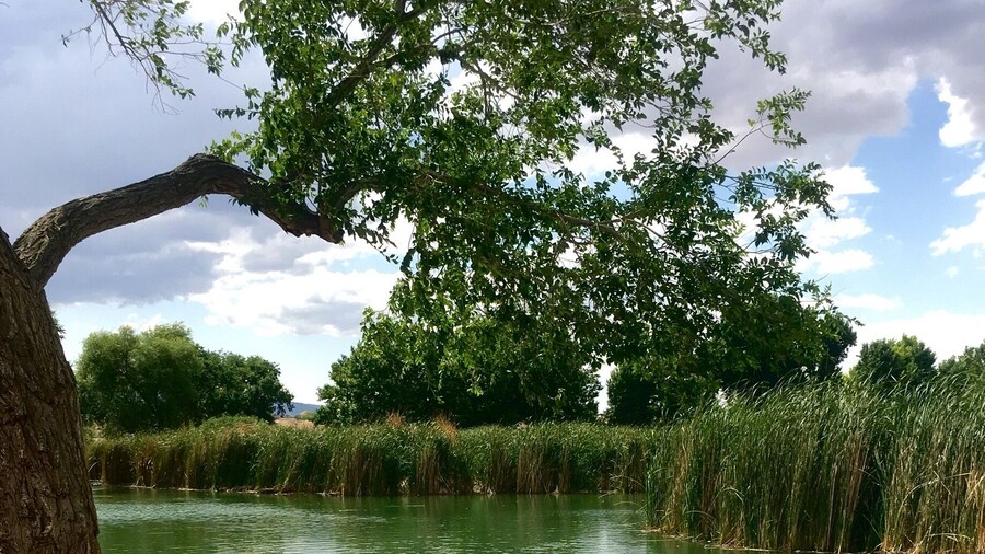 An oasis in the middle of the desert.