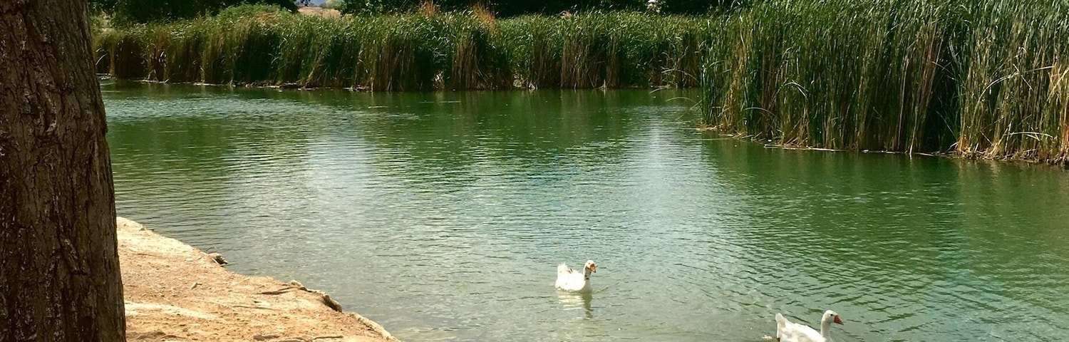 An oasis in the middle of the desert.