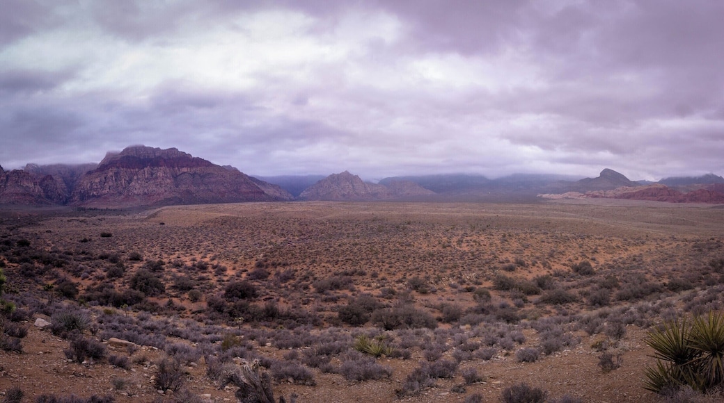 The view from a highway parking lot.