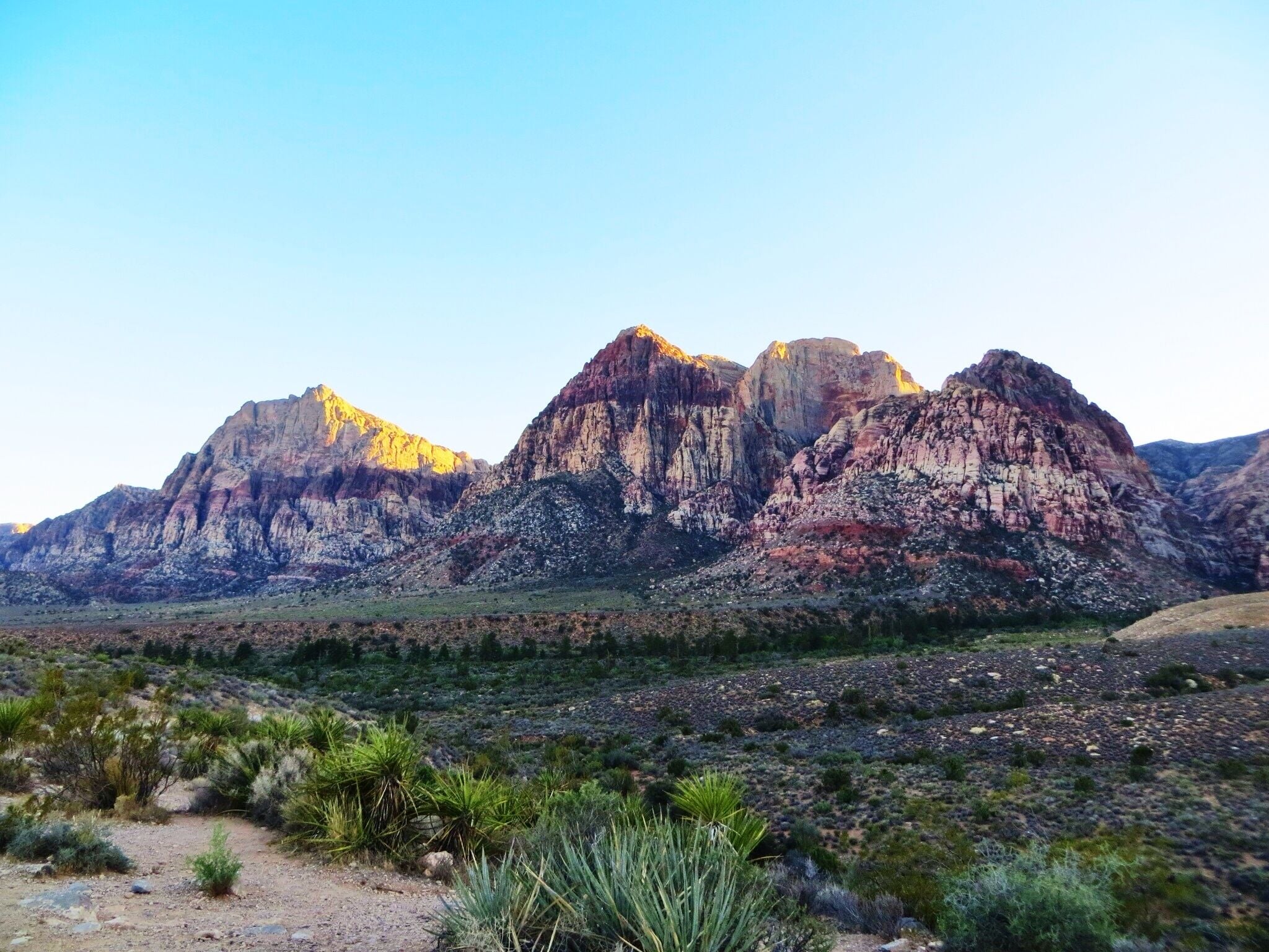 Red Rock Canyon National Conservation Area in Nevada - Tours and