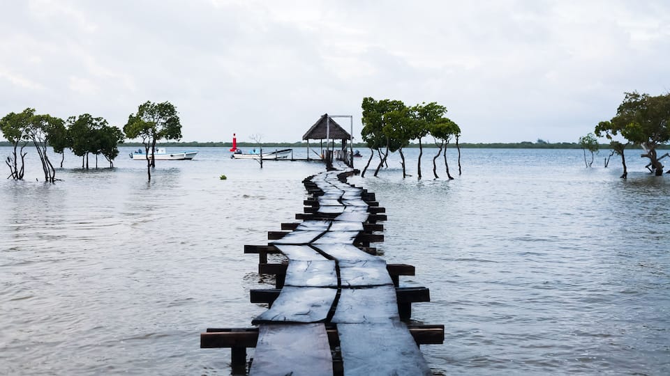 A wooden pier extending into a flooded area with trees and a small hut.
