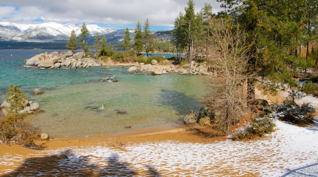 Yhdysvallat johon kuuluu maisemat, karu rannikko ja metsät