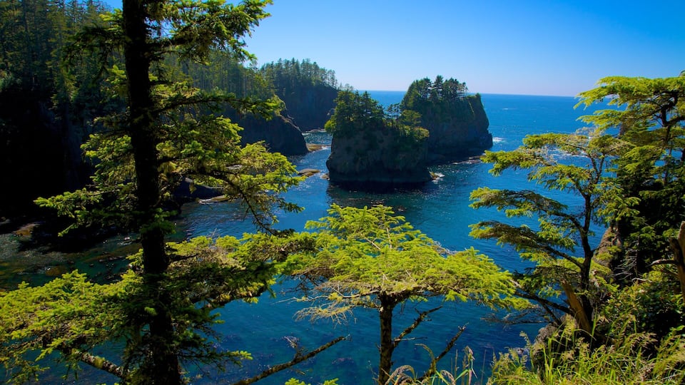 A coastal forest with clear blue waters and rocky cliffs.