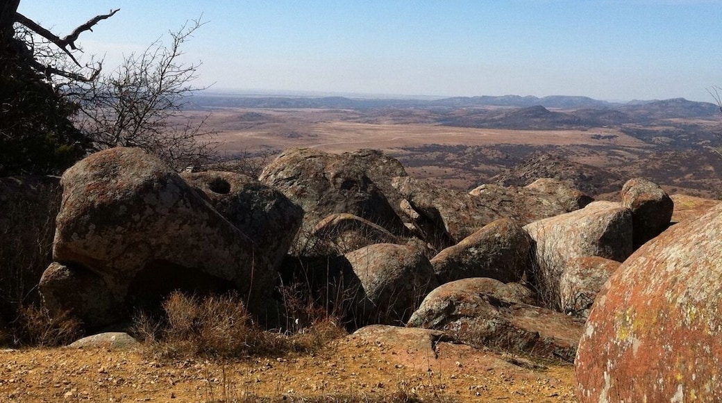 My favorite place . Go here---- go to meers in the wildlife refuge and have a meers burger!!!