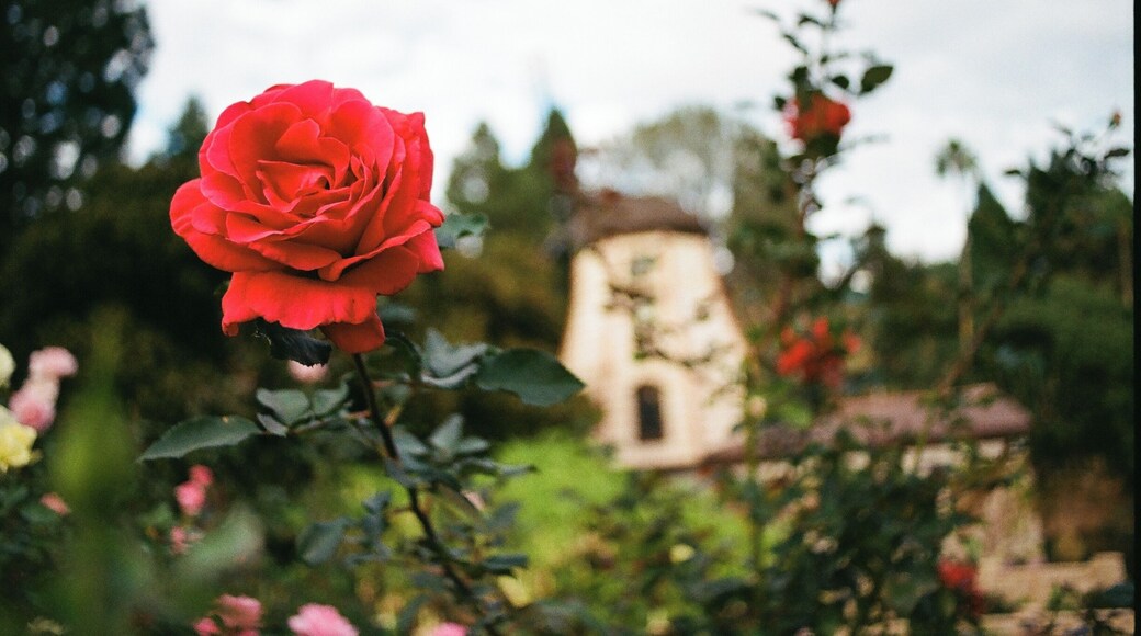 First a movie lot, then the home of a film executive, then a shrine for a holy man, now a peaceful place that anyone can visit. #green