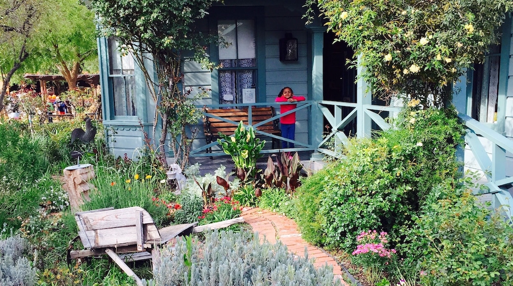 A moment in the past