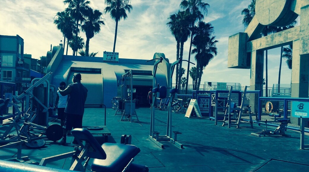 Great spot to get pumped up and work on your tan! When this place is busy, it is a site to see.