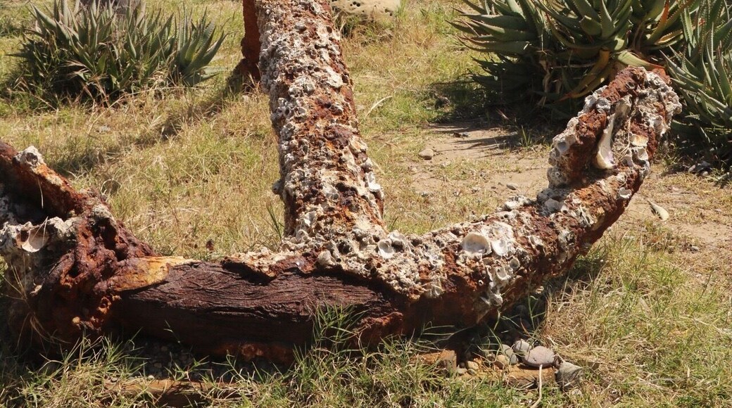 Playa estatal Will Rogers