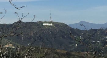 Beautiful view from Runyon canyon hike