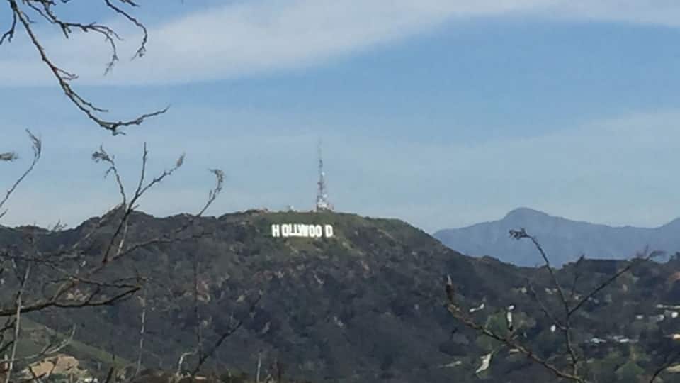 Beautiful view from Runyon canyon hike