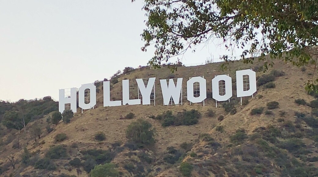 View of the Hollywood Sign as we hiked up to the top.