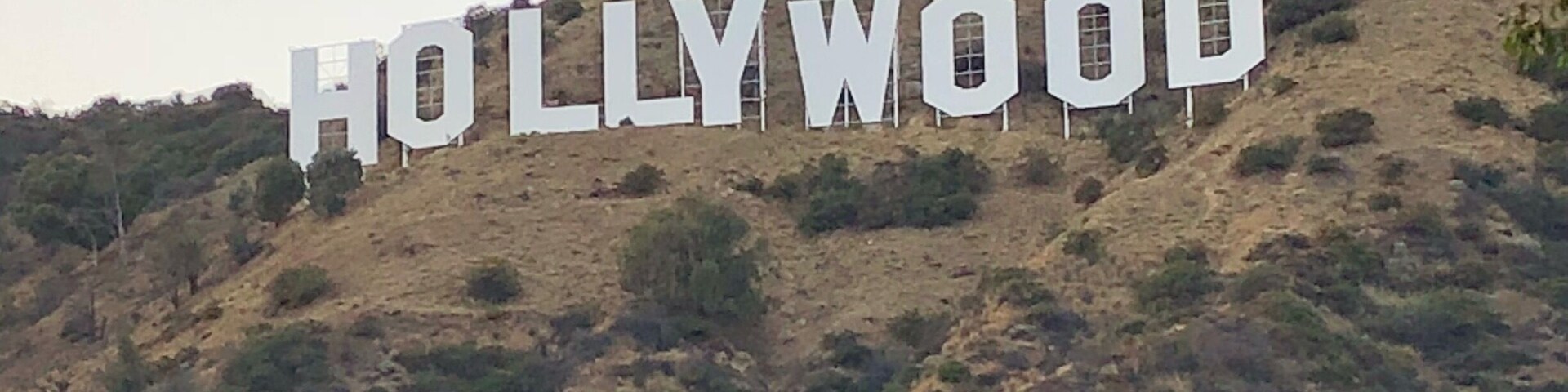 View of the Hollywood Sign as we hiked up to the top.