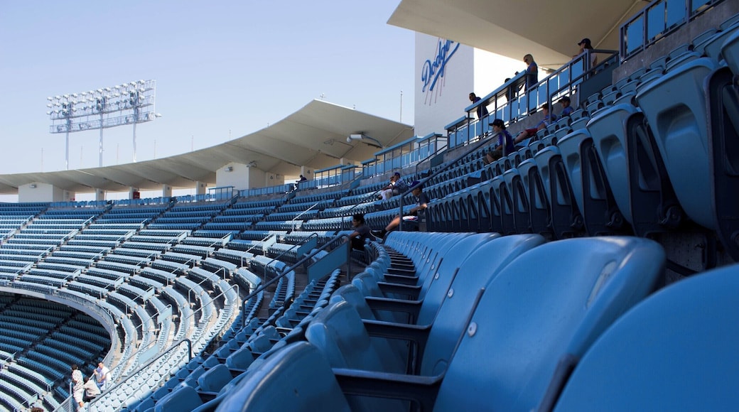 The top deck of the stadium. Tickets are cheap and the view is great! #Blue