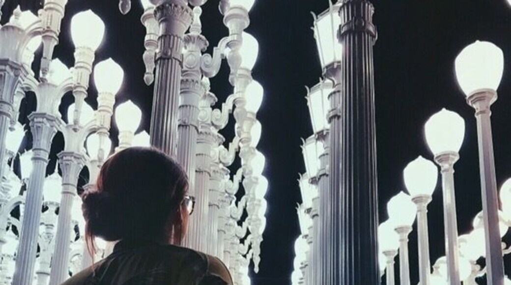 LACMA lights