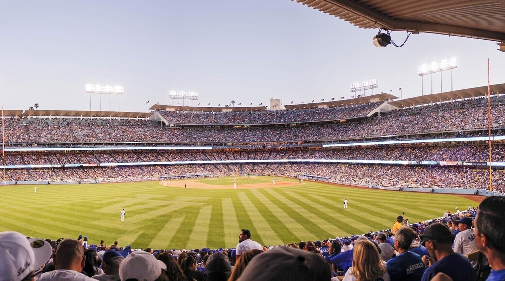 The view from the left field pavilion stand in the stadium. #StunningStructures