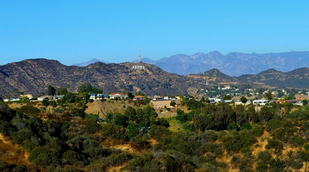 View of the Hollywood sign! Relatively easy hike
#hike #nature #outdoor #hollywood #california
