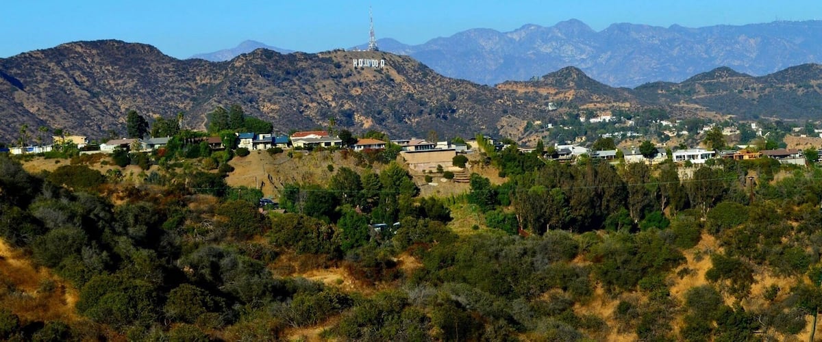 View of the Hollywood sign! Relatively easy hike
#hike #nature #outdoor #hollywood #california