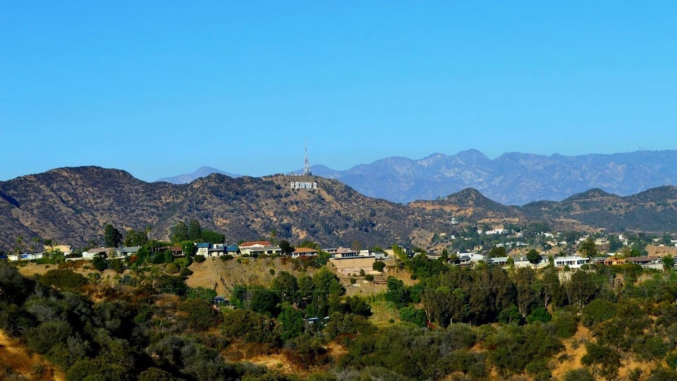 View of the Hollywood sign! Relatively easy hike
#hike #nature #outdoor #hollywood #california