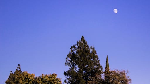 Waxing gibbous moon at 84% illumination. Image was taken at 4pm in the afternoon. #Blue