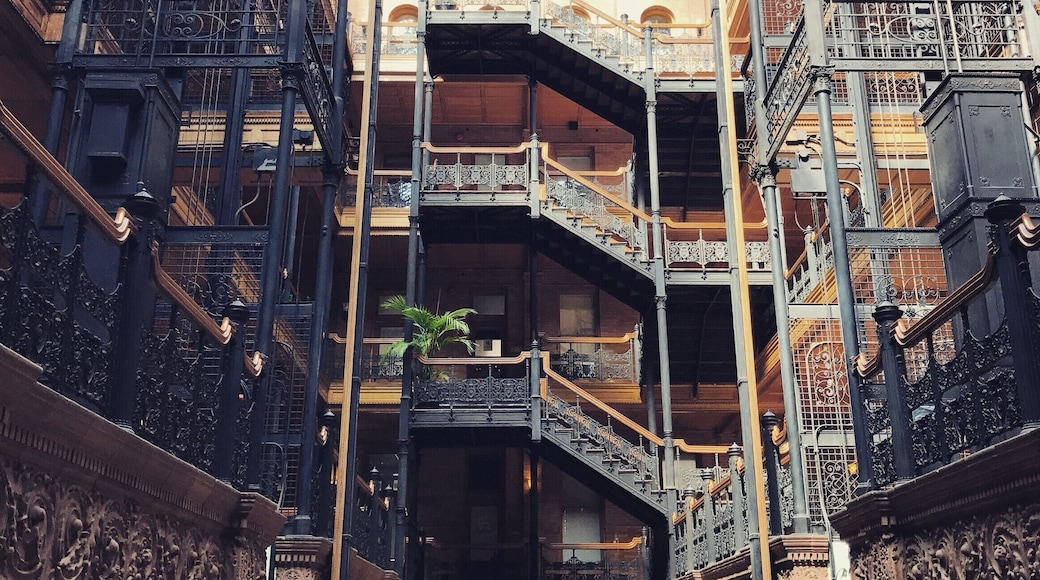 Whether you're a fan of 19th century architecture or Blade Runner or just like cool things, the interior of this DTLA landmark is a treat for the eyes.
#lifeatexpedia