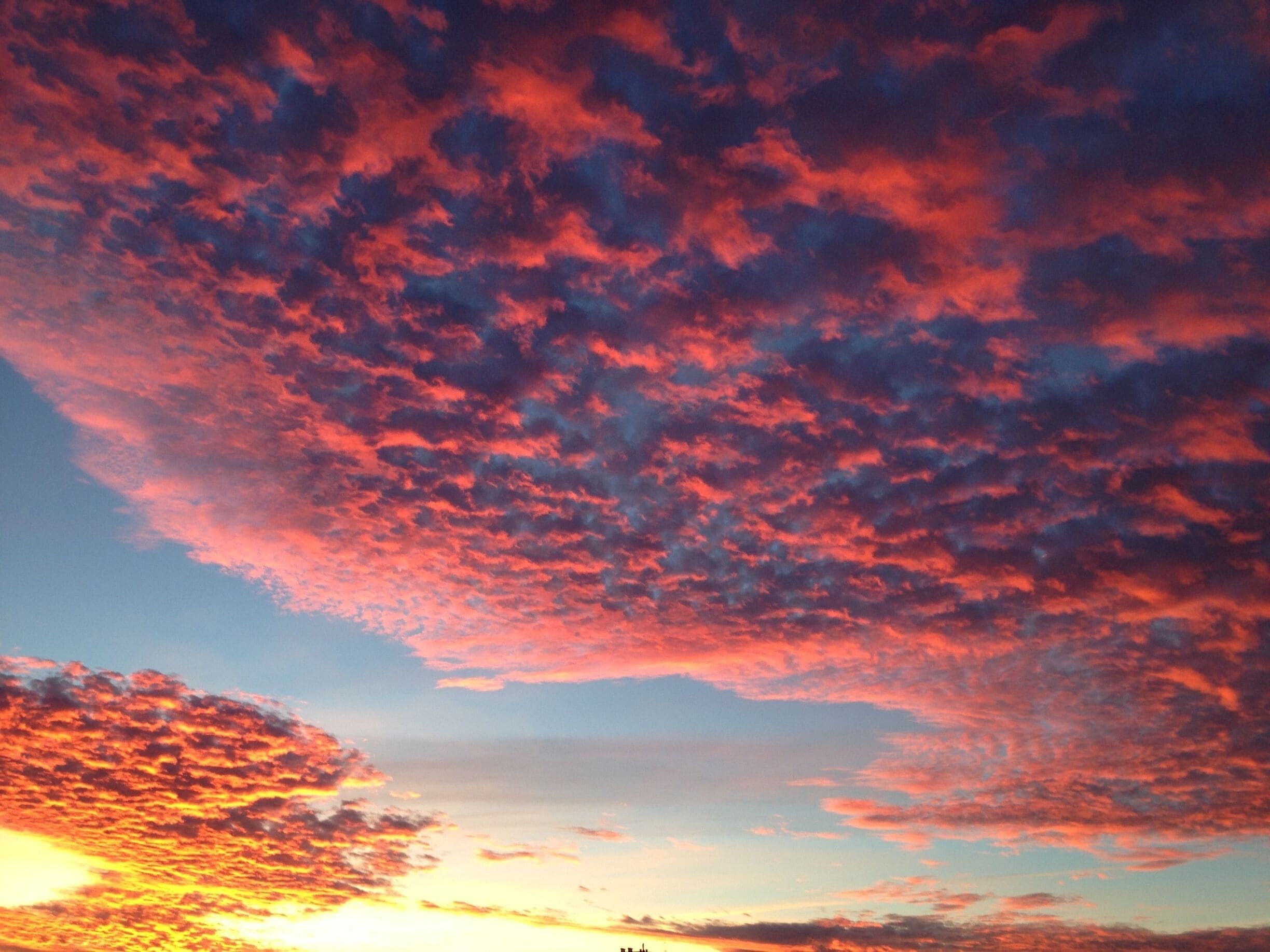 woke up to this one morning. could be anywhere, but it was the sky right outside my living room window   #goldenhour #sunrise