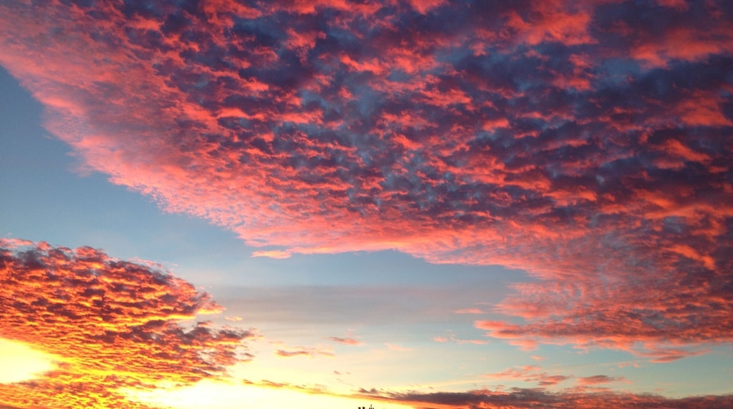 woke up to this one morning. could be anywhere, but it was the sky right outside my living room window #goldenhour #sunrise