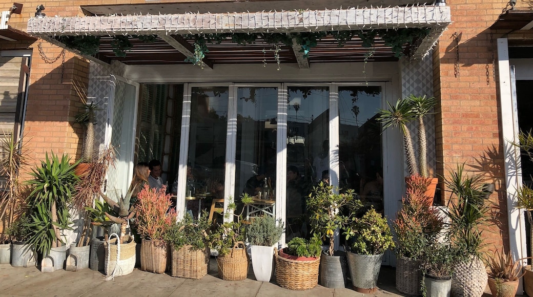 Abbot Kinney Boulevard