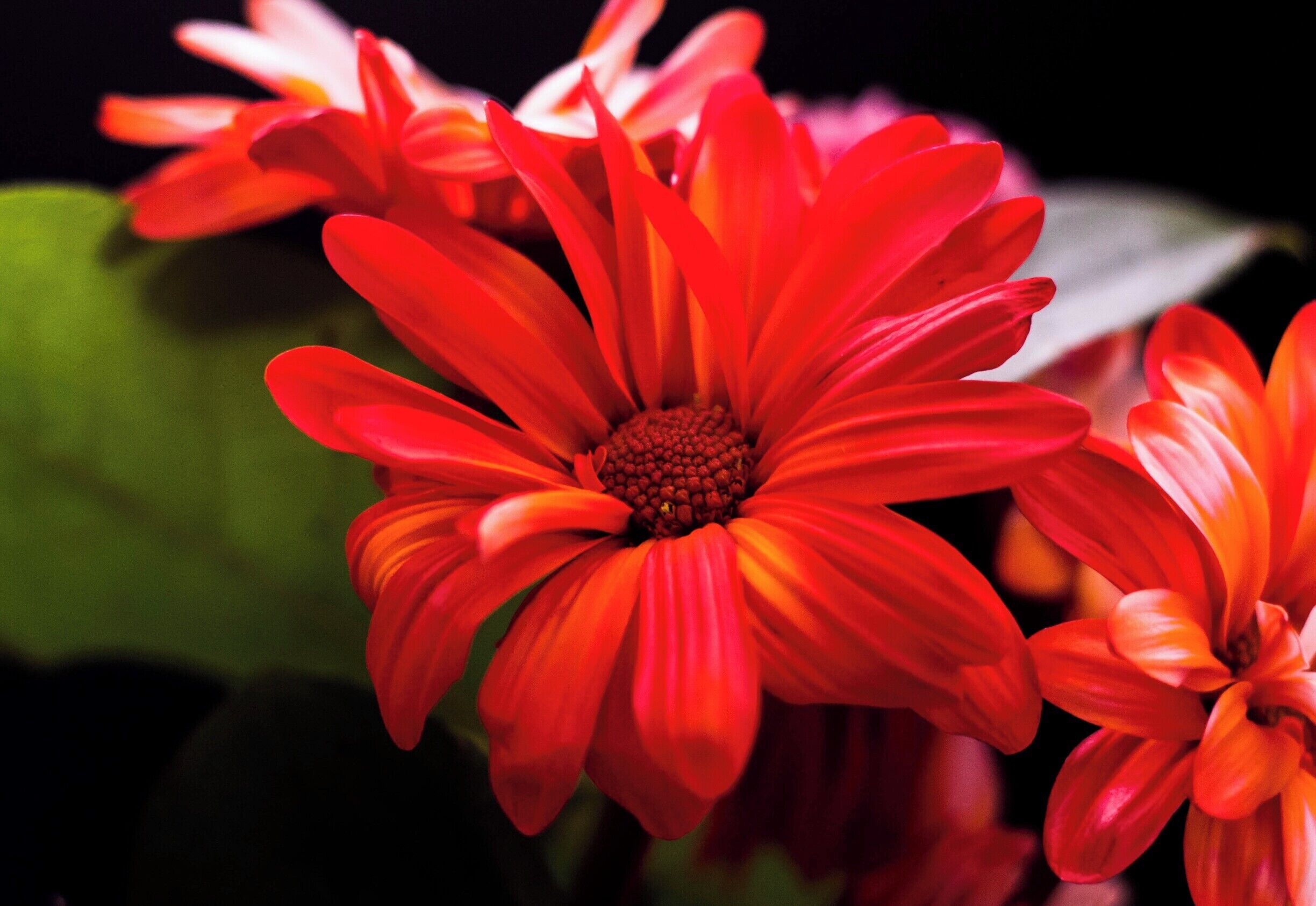 Playing with light and how it affects the subject.