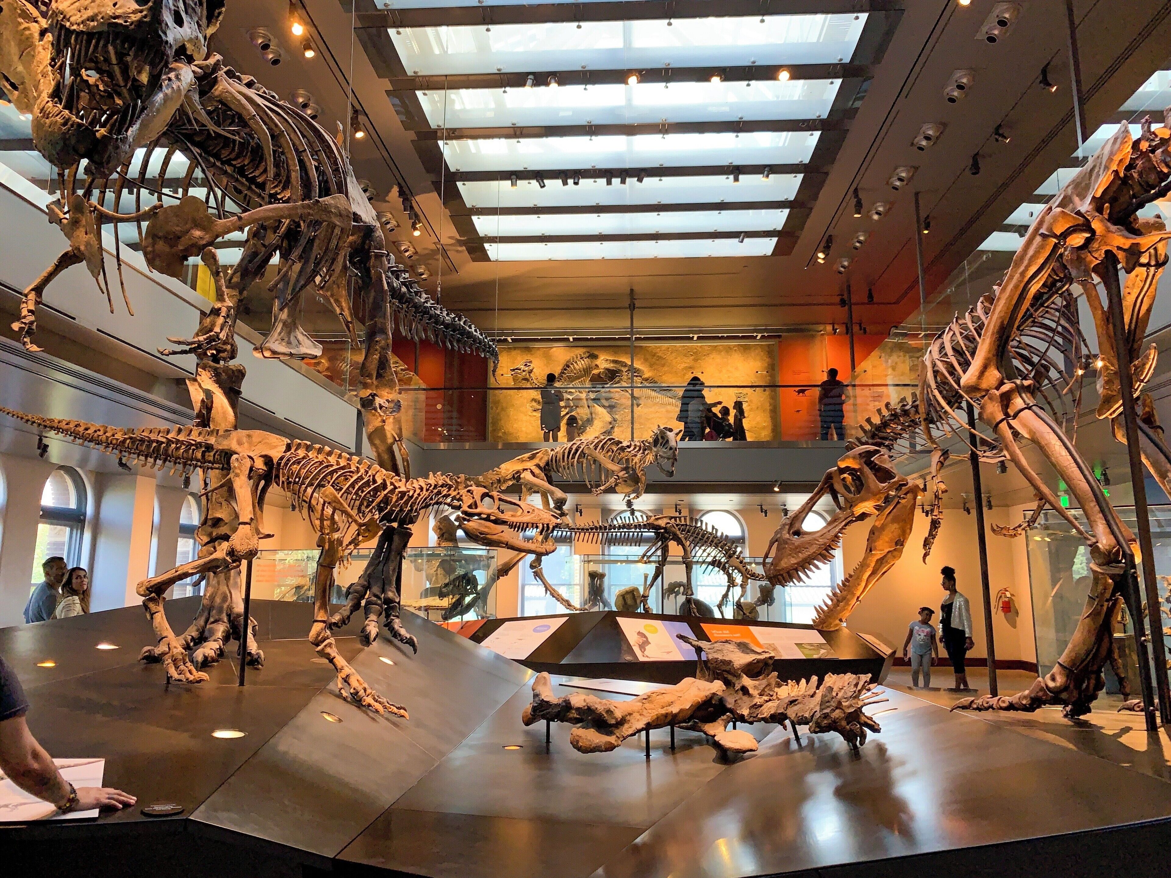 This place is Dyno-mite 🦖 #trovember