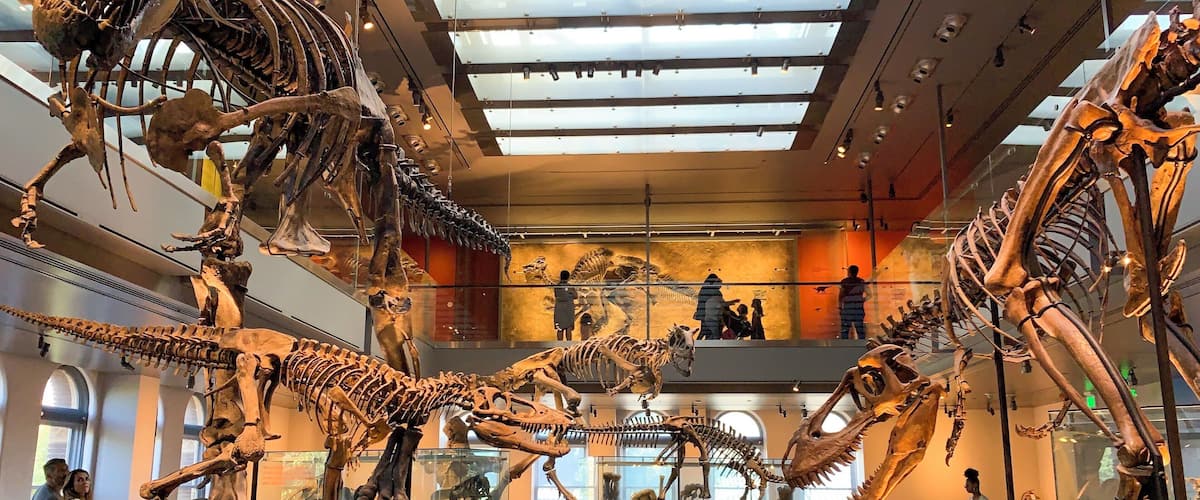 This place is Dyno-mite 🦖 #trovember