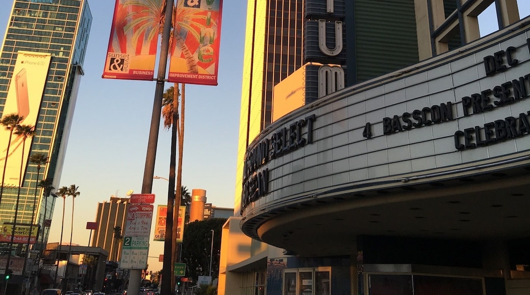 I’ve seen some pretty incredible shows here. Bad Religion, The Foo Fighters and most recently Frank Turner.