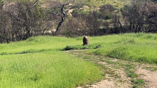 Beautiful when it’s green