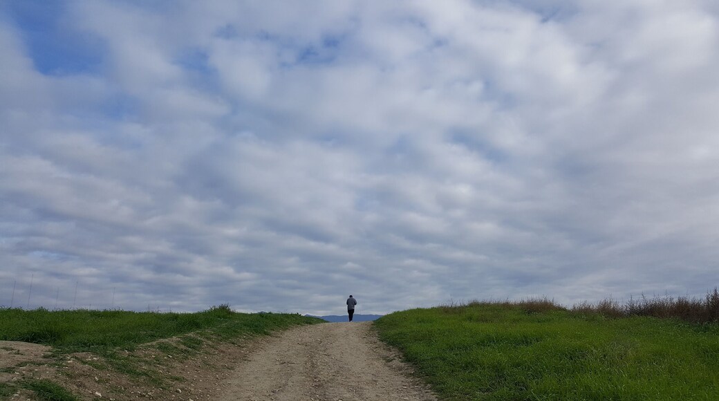 10 min. Away from Downtown LA, 360 view from top off hill #takeAhike