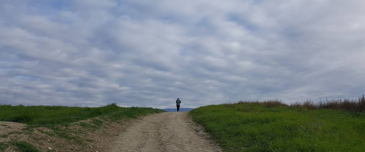 10 min. Away from Downtown LA, 360 view from top off hill #takeAhike