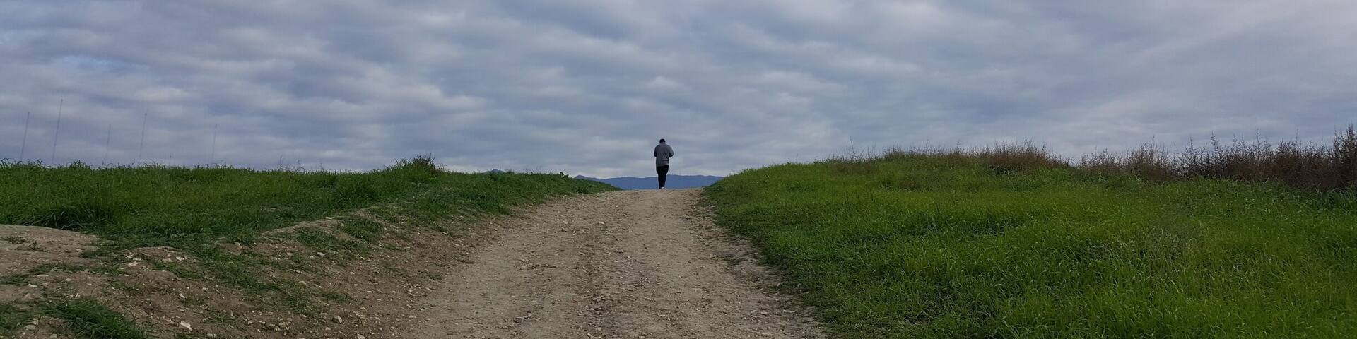 10 min. Away from Downtown LA, 360 view from top off hill #takeAhike