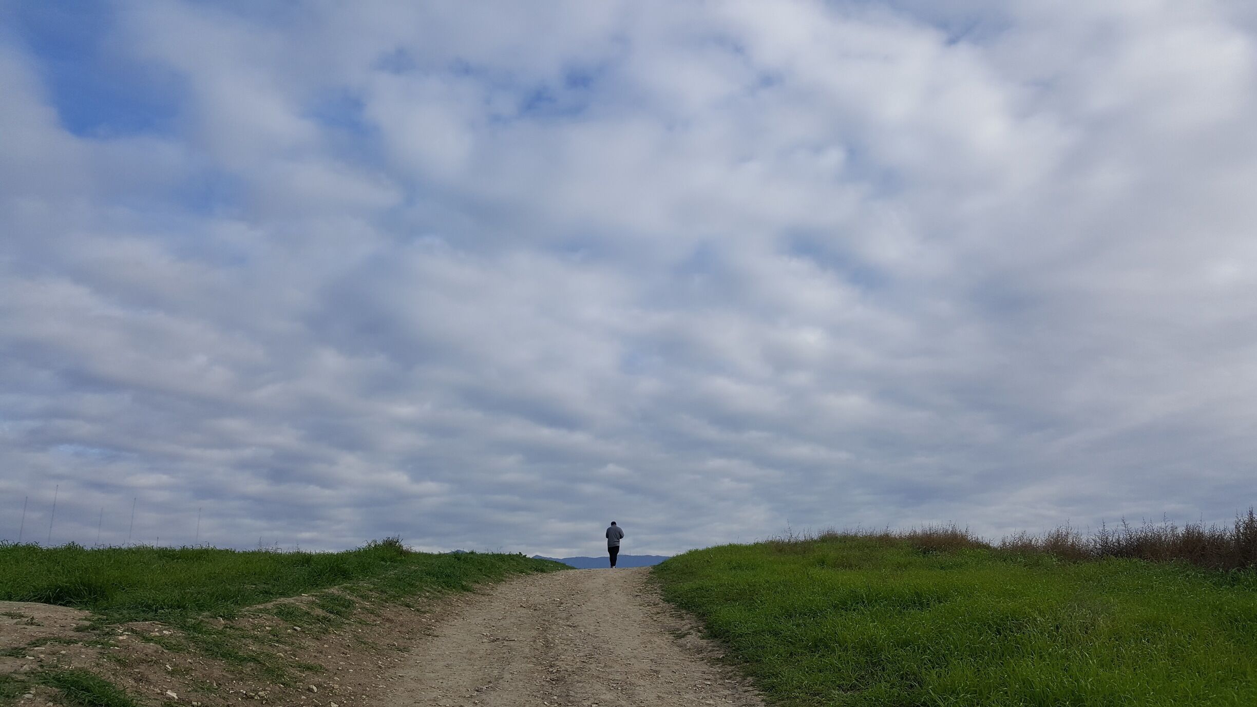 A dirt path leading to a person walking away, surrounded by green grass and a cloudy sky.