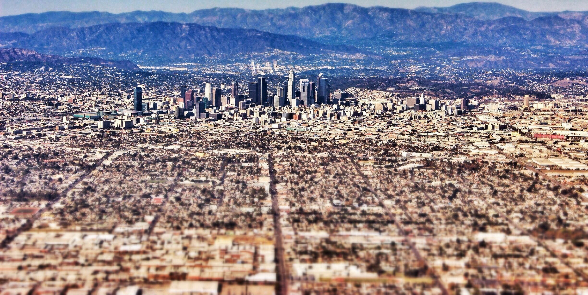 I want to be a bird!