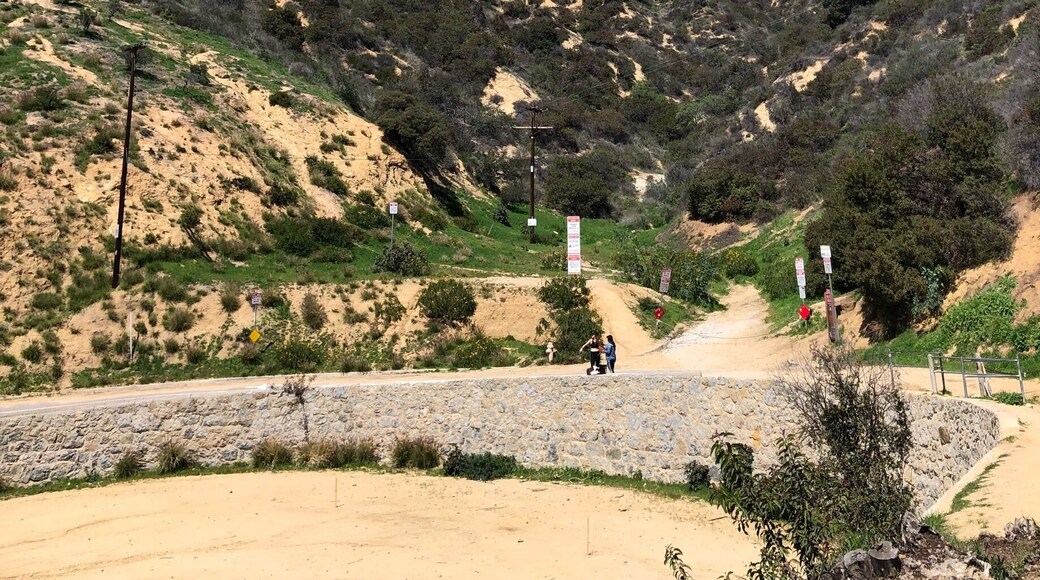 Best view of the holly wood sign