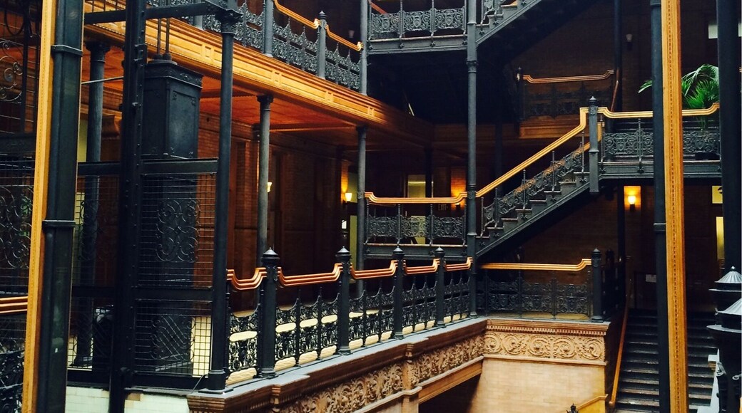 Another shot and different angle of Bradbury Building.