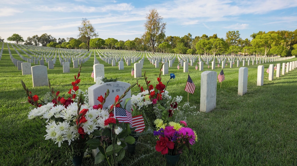 Memorial day at Los Angeles national cemetery
#Parks