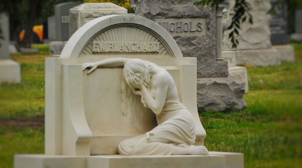 #HollywoodForever the cemetery is by the #ParamountPicturesHollywood is amazing big and beautiful ,many famous and tombs from the 1800 unbelievable 😱 .
And I tell you something I was by my self
there was a few people but as I say , this place is big and I hear and feel strange things ,nothing bad .thanks God😊