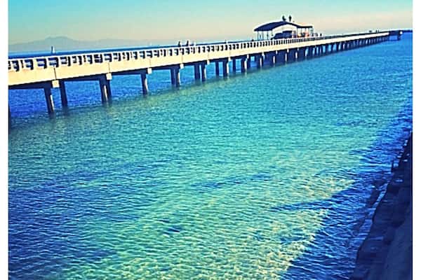 Cabrillo pier in San Pedro 💜