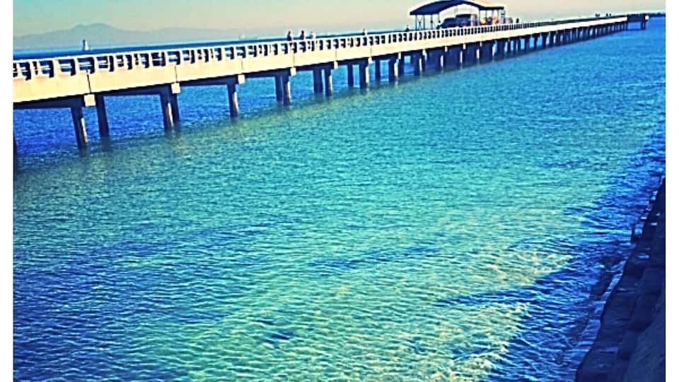 Cabrillo pier in San Pedro 💜