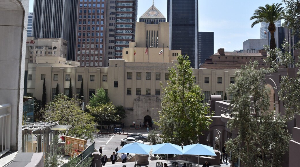Beautiful library in the heart of Downtown...