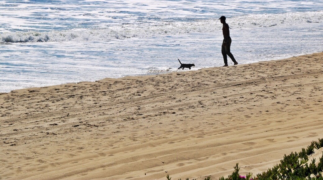 Playa estatal Will Rogers