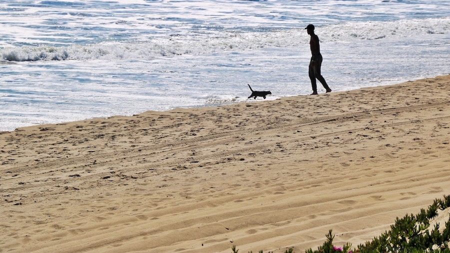 Will Rogers State Beach